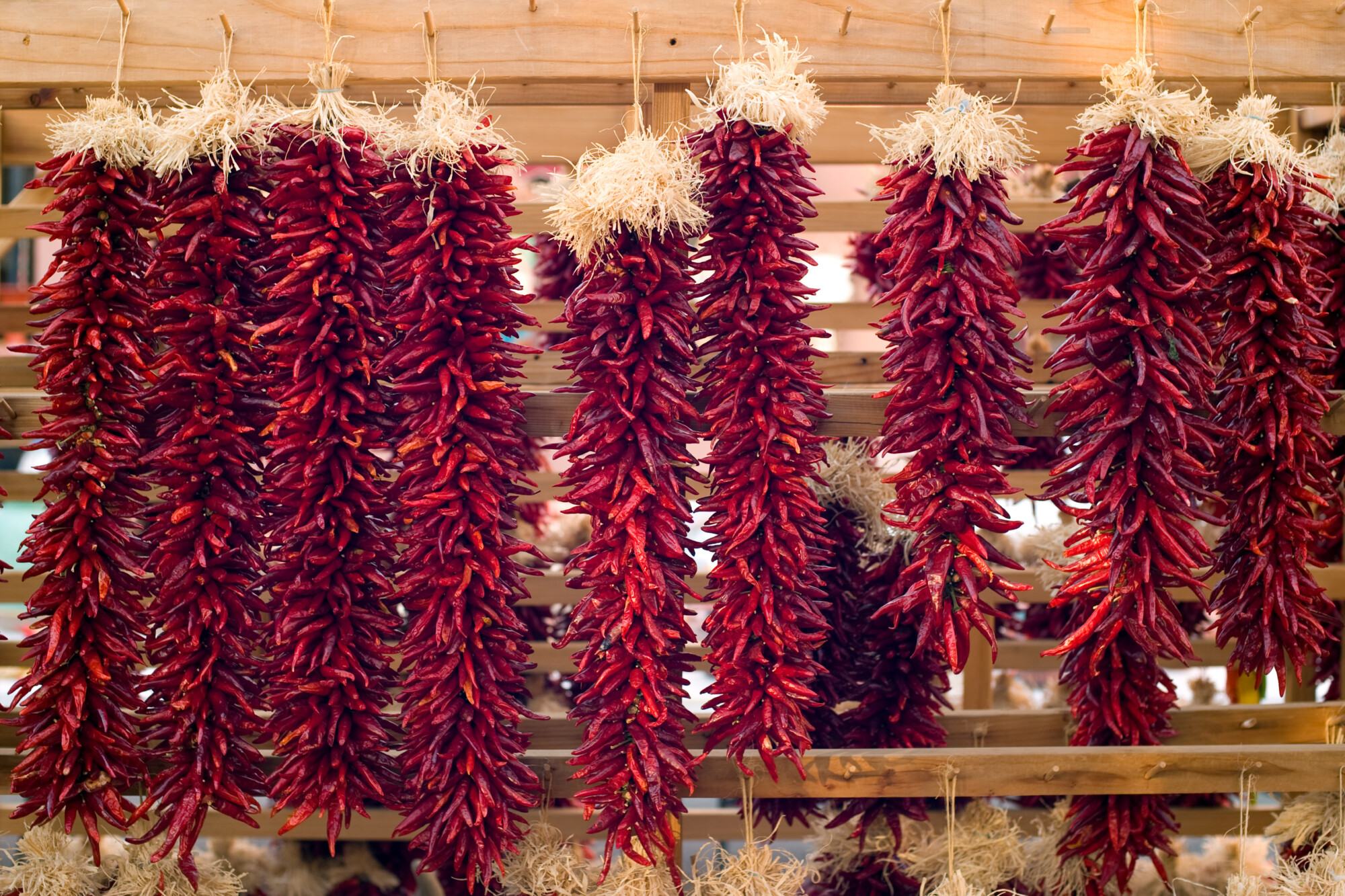 Chili peppers hanging on Santa Fe marketplace, New Mexico