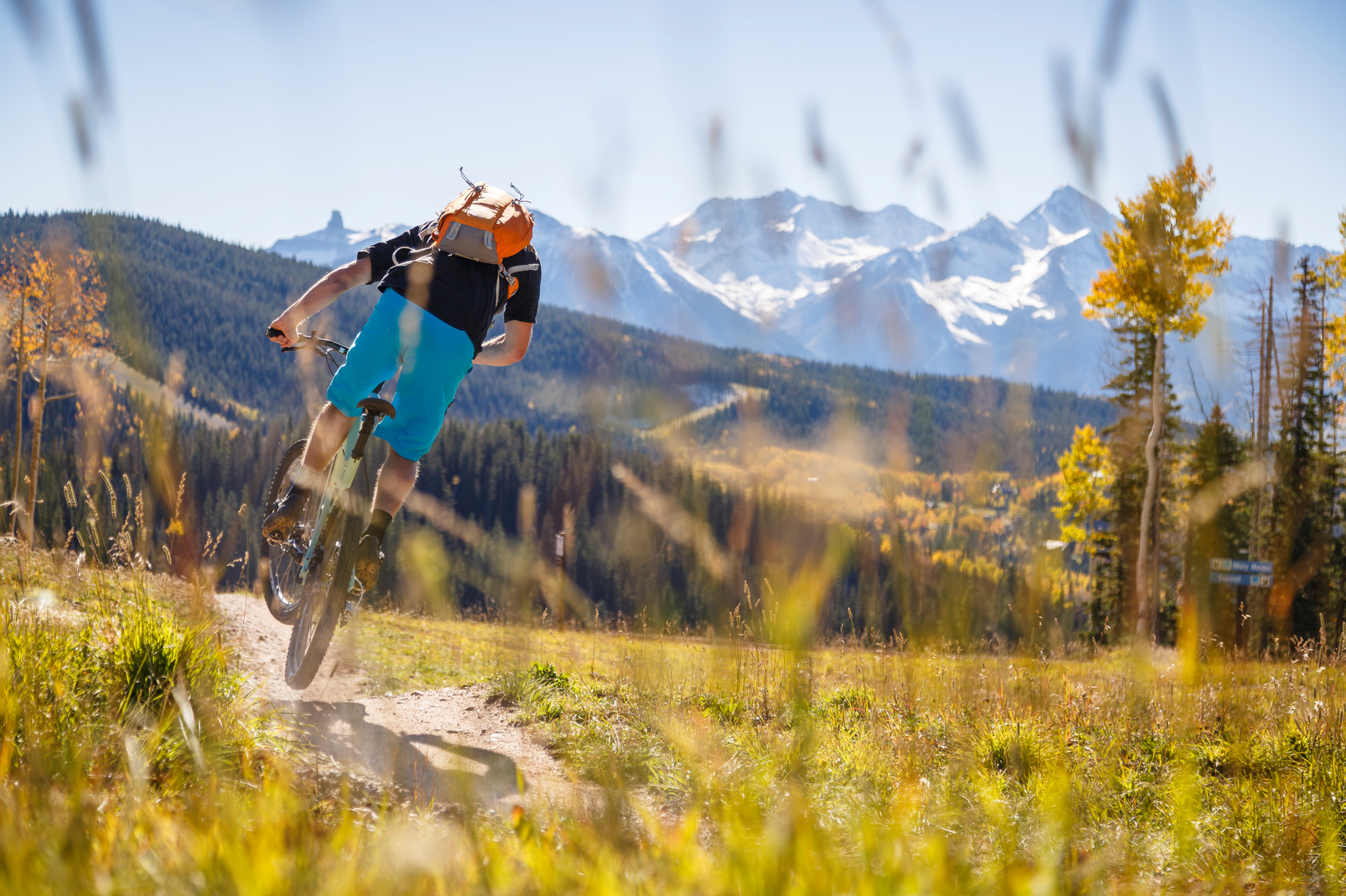 Telluride, Colorado, USA: A male mountain biker riding his bike