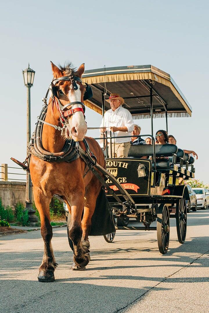 Gallery_Historic-Carriage-1