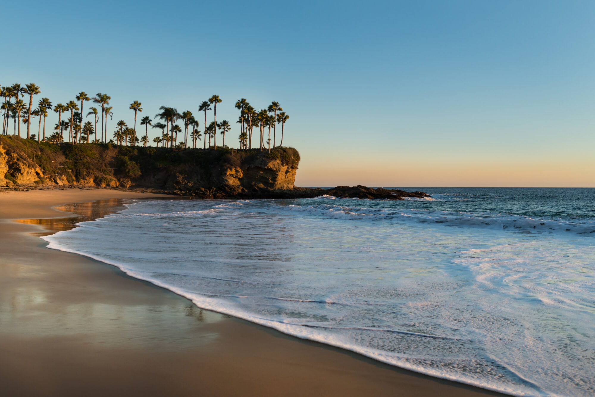 Shore with palm trees, rocks, blue sky