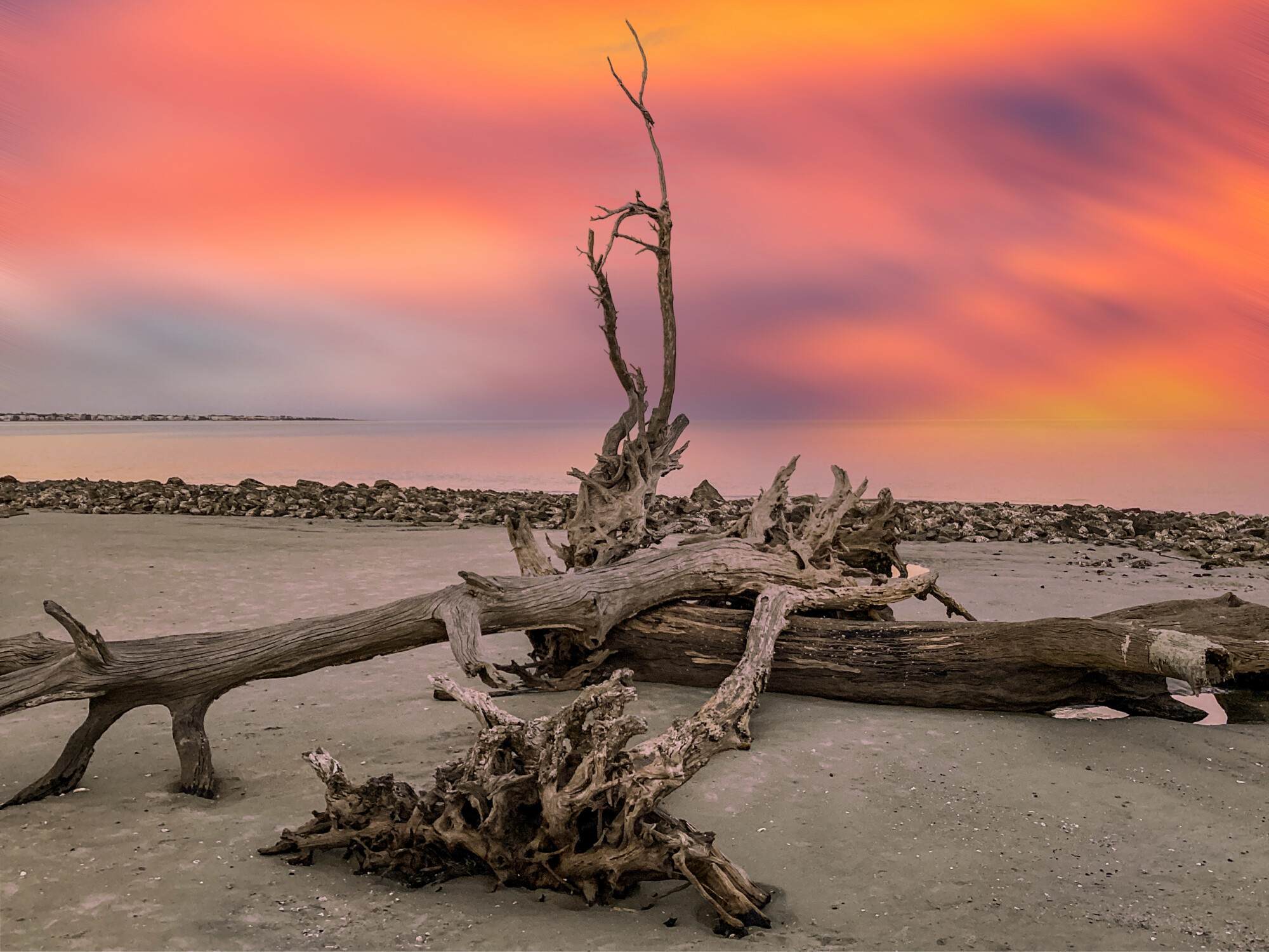 Sunrise at Driftwood Beach, Jekyll Island