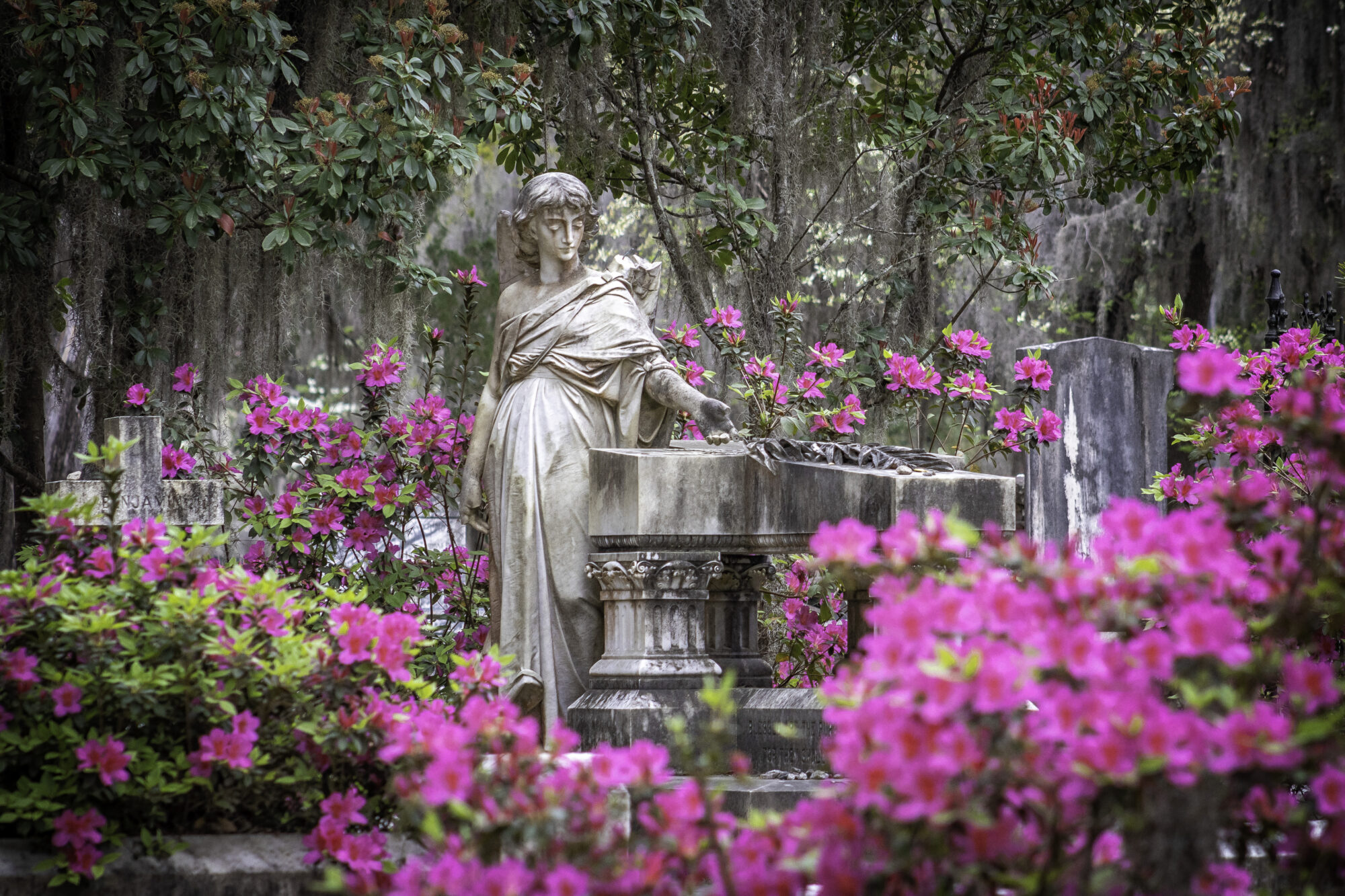 Bonaventure Cemetery Savannah Georgia