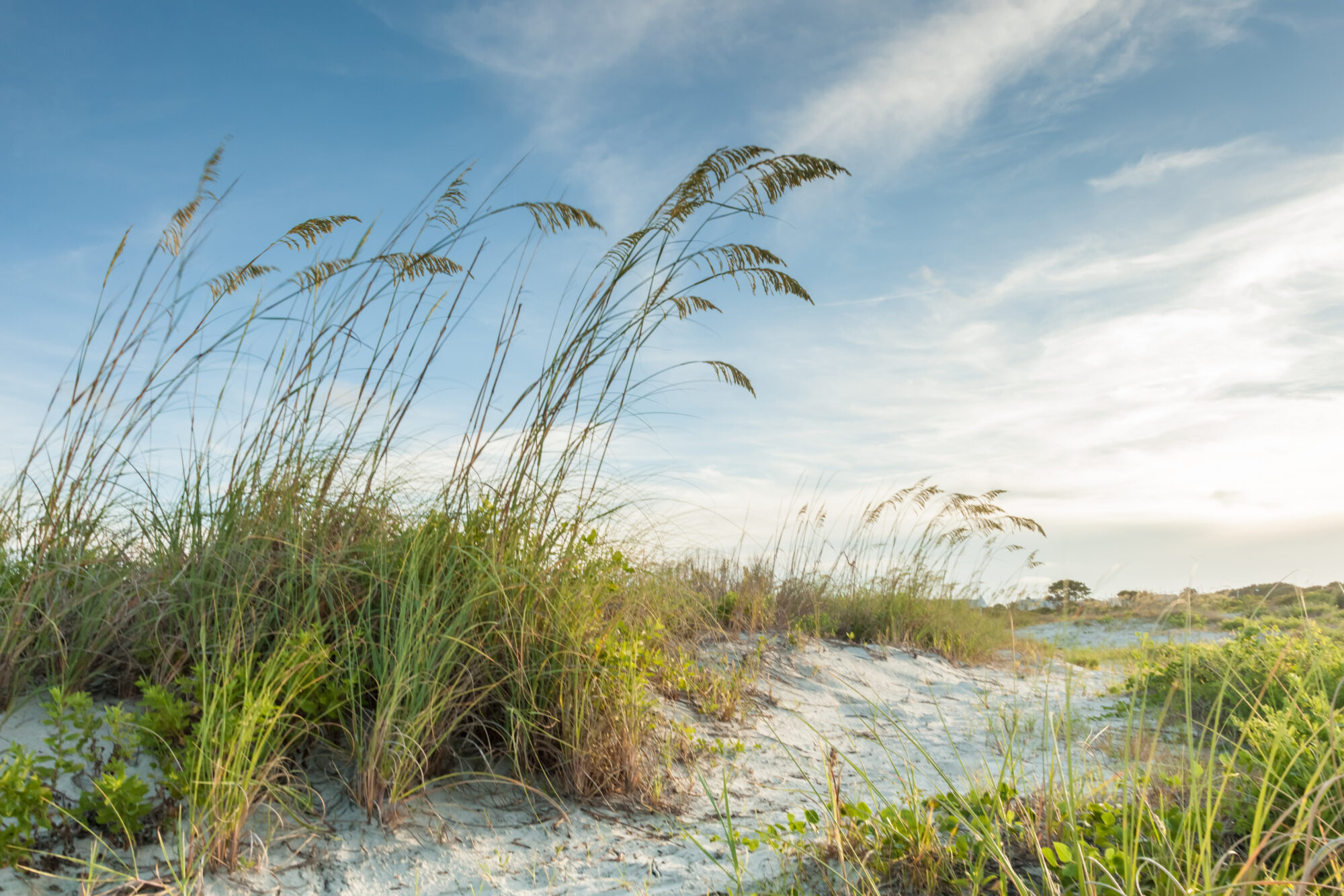 Twilight Dunes Path