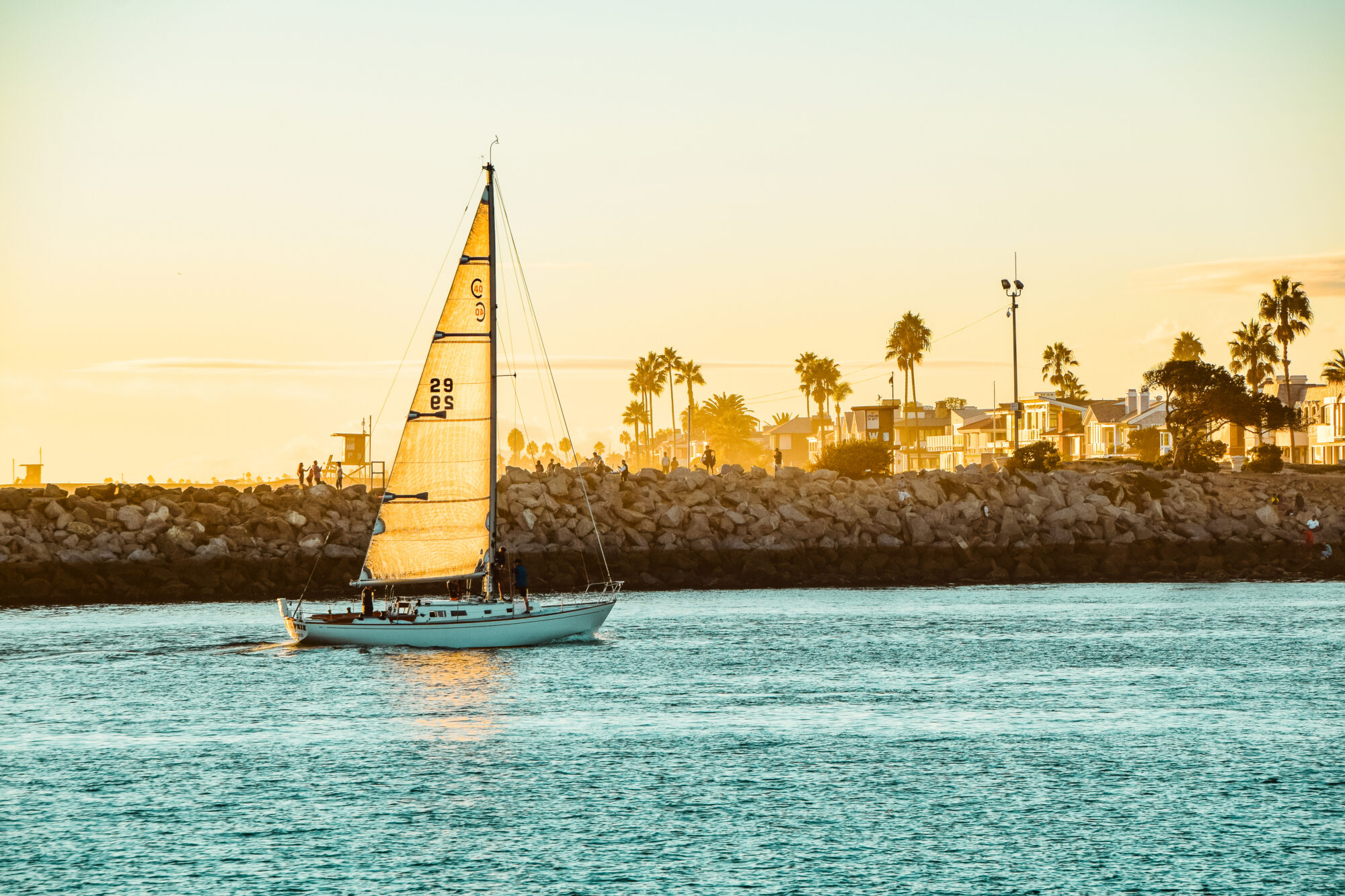 Orange County Coastline
