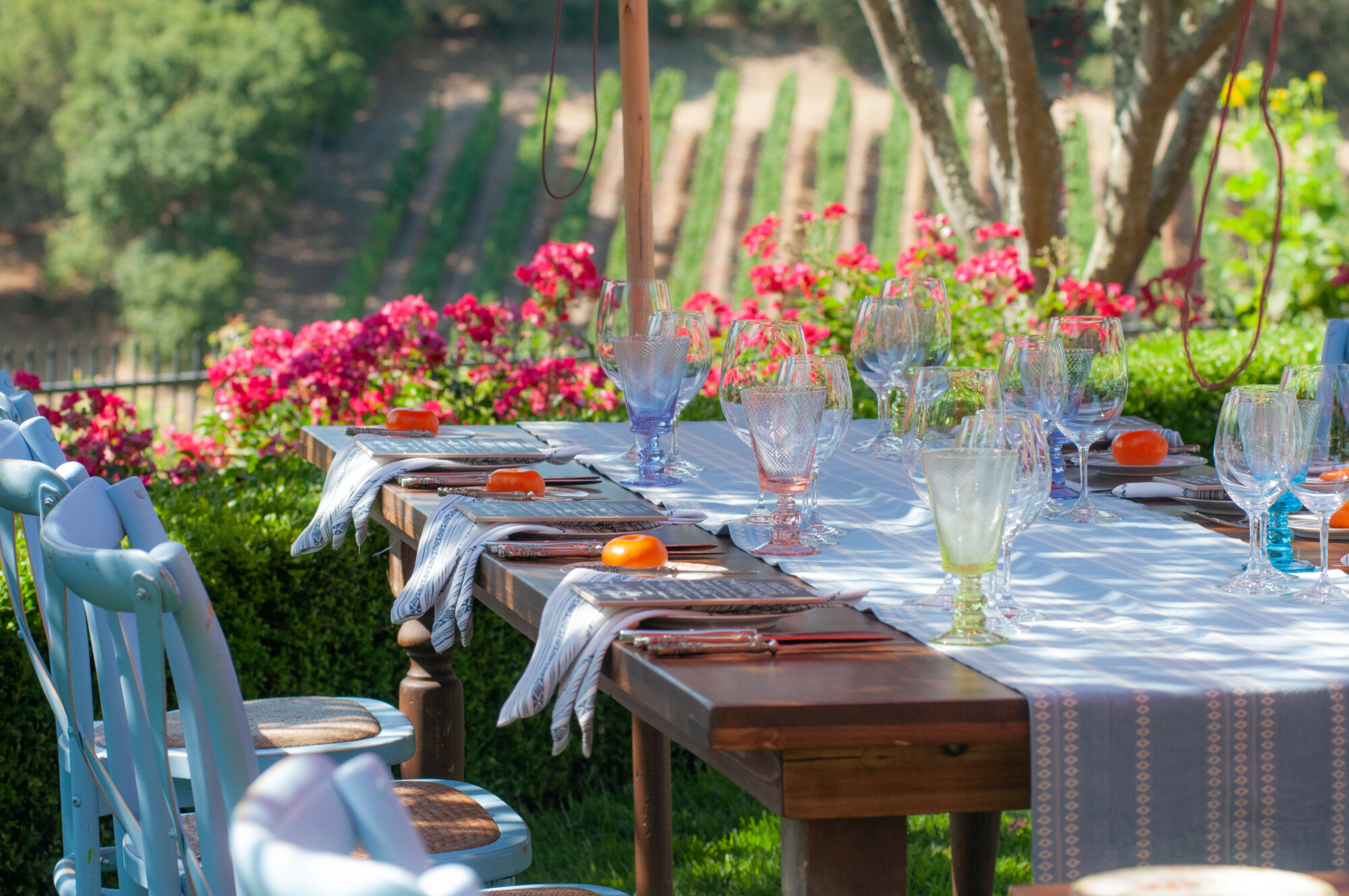 Fruitful Winery Luncheon RMC