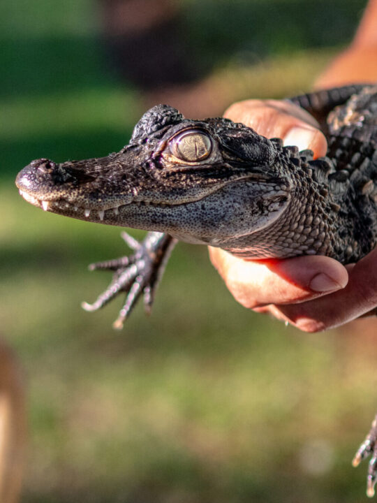 250623_MRitterbeck-49